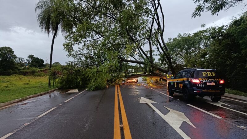 Chuva forte provoca transtornos em rodovias do Paraná