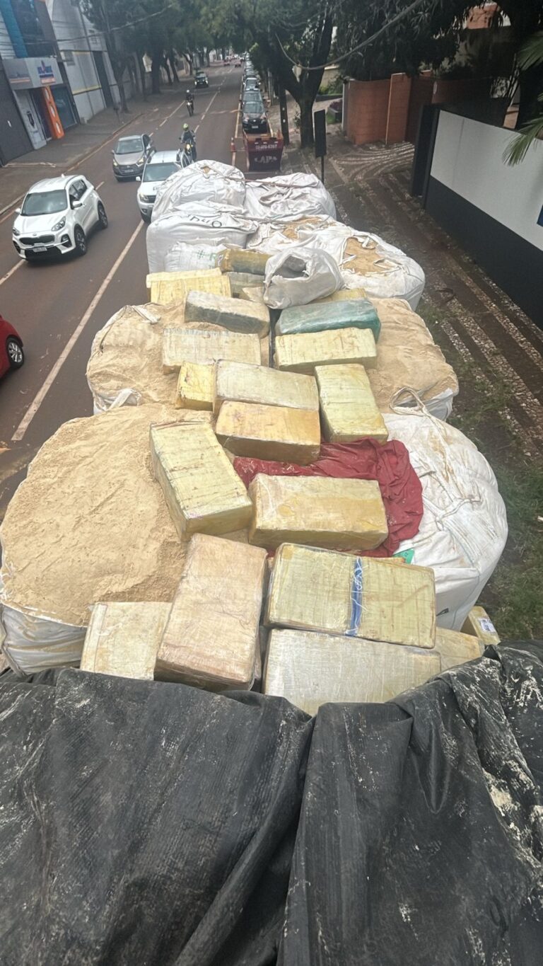Polícia Federal e PRF apreendem carga significativa de maconha