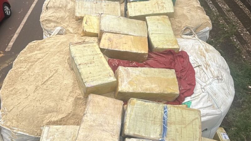 Polícia Federal e PRF apreendem carga significativa de maconha