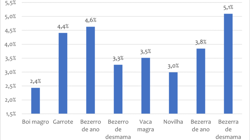Mercado de reposição em São Paulo encerra outubro com alta