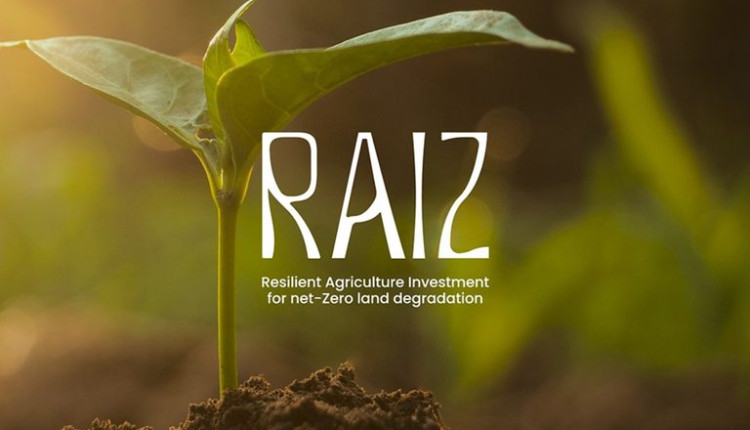 Iniciativa global para recuperação de áreas degradadas é lançada na COP 30