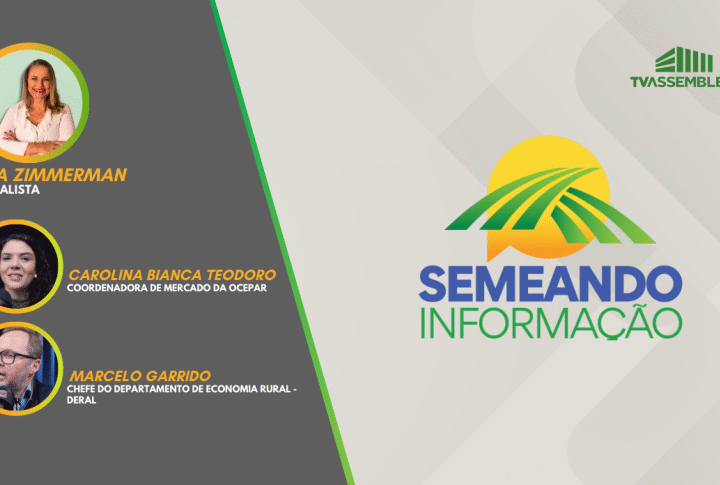 Discussão sobre exportações do agronegócio paranaense