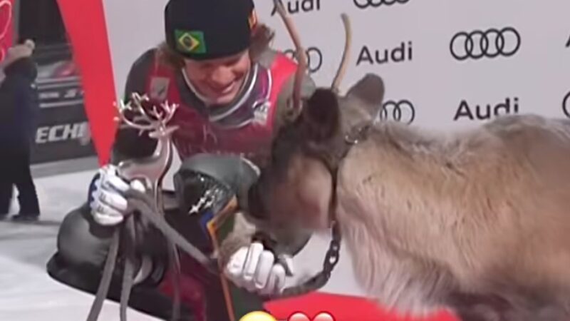 Brasileiro conquista vitória inédita e ganha rena em premiação de esqui