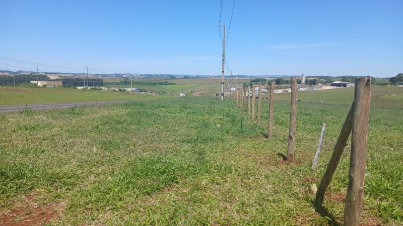 EPR Iguaçu finaliza delimitação da faixa de domínio até dezembro