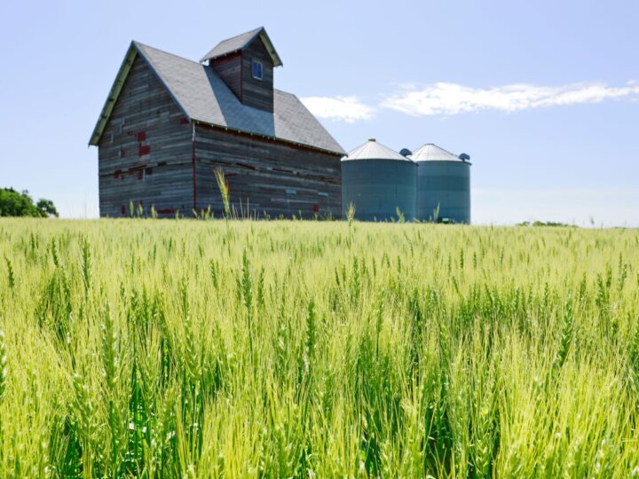 Republicanos pedem ajuda ao governo para agricultores dos EUA