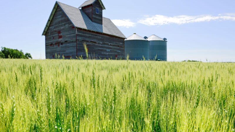 Republicanos pedem ajuda ao governo para agricultores dos EUA