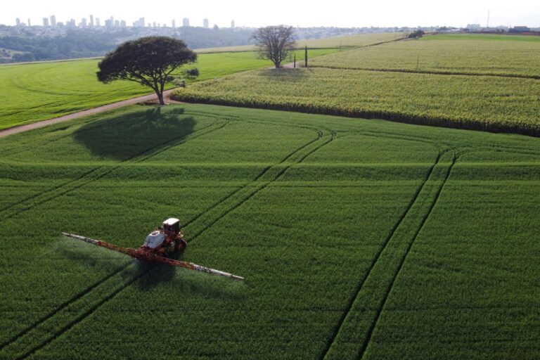 Exportações do agronegócio brasileiro cresceram em agosto