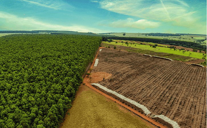 Insegurança jurídica sobre reserva legal em propriedades rurais