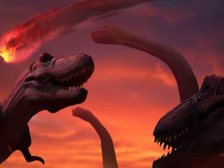Impacto da extinção dos dinossauros nos ecossistemas da Terra