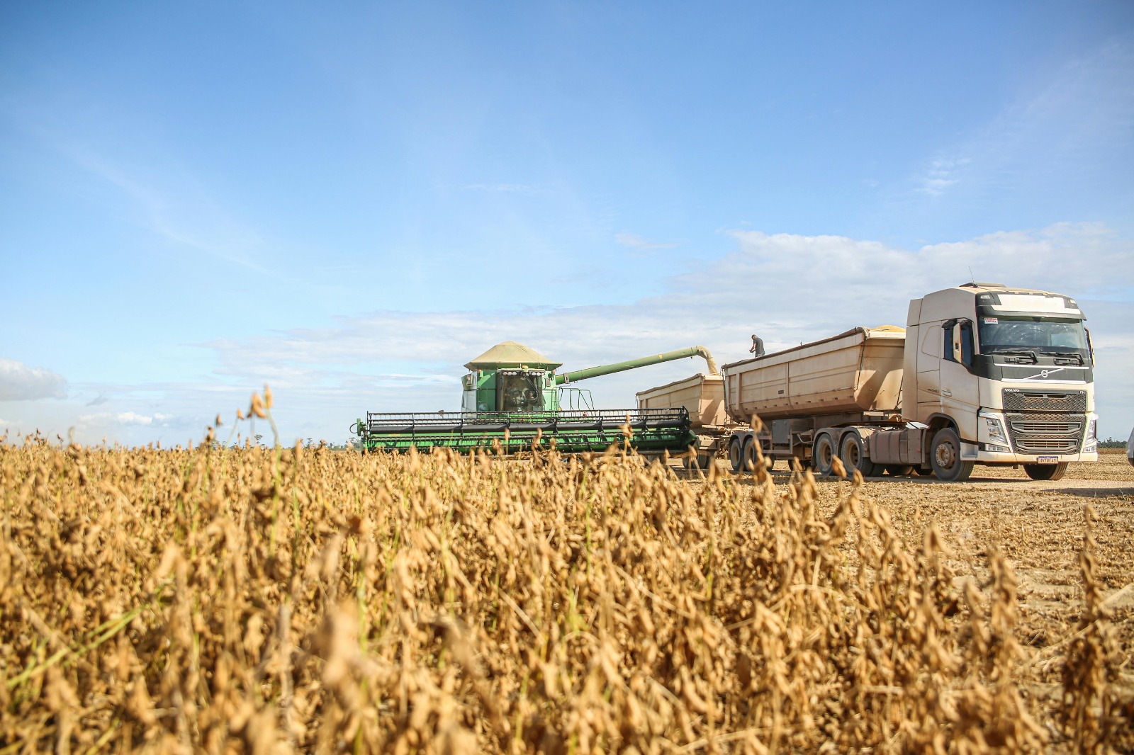 Joint ventures no agro: uma estratégia para inovação