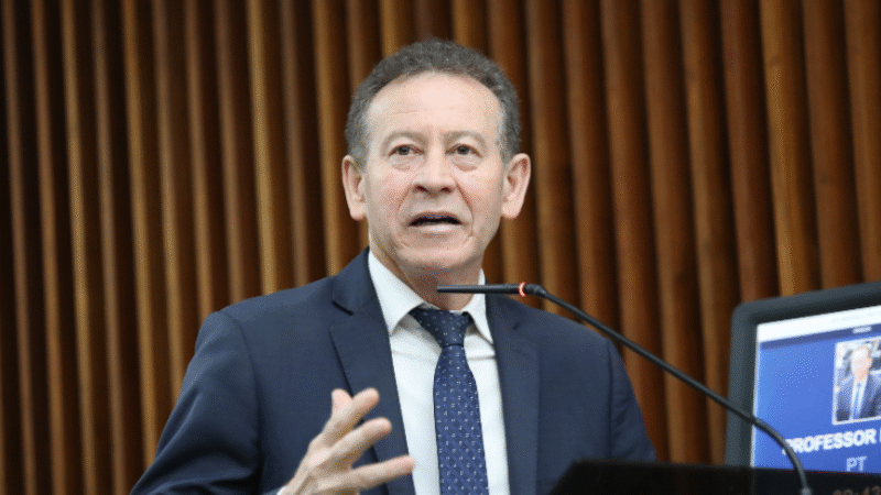 Audiência pública na Alep discute isenção de ICMS a produtores artesanais