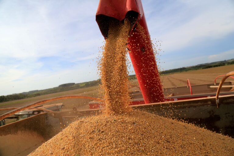 Produção de soja no Brasil deve alcançar nova marca em 2025/26