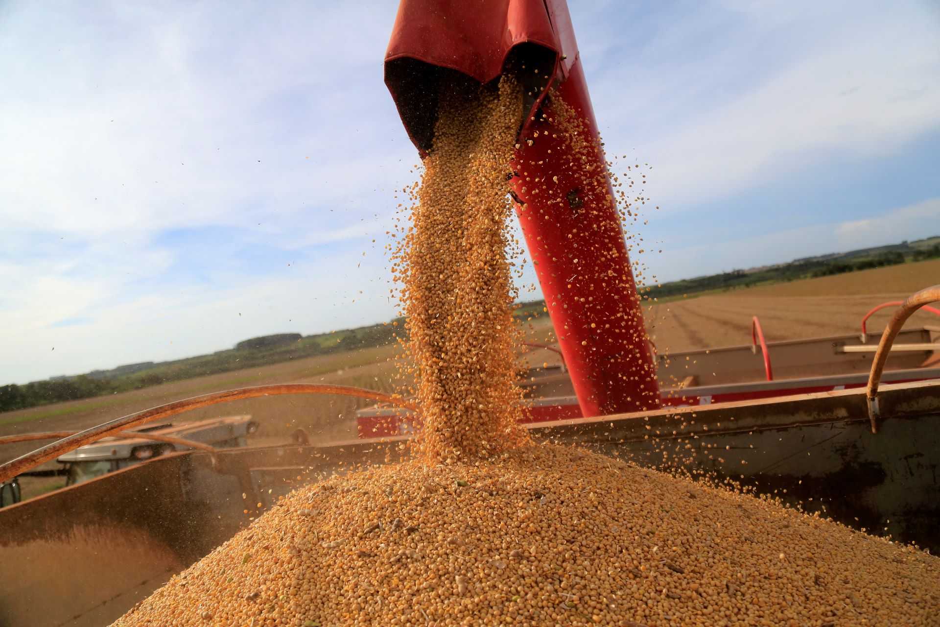 Produção de soja no Brasil deve alcançar nova marca em 2025/26