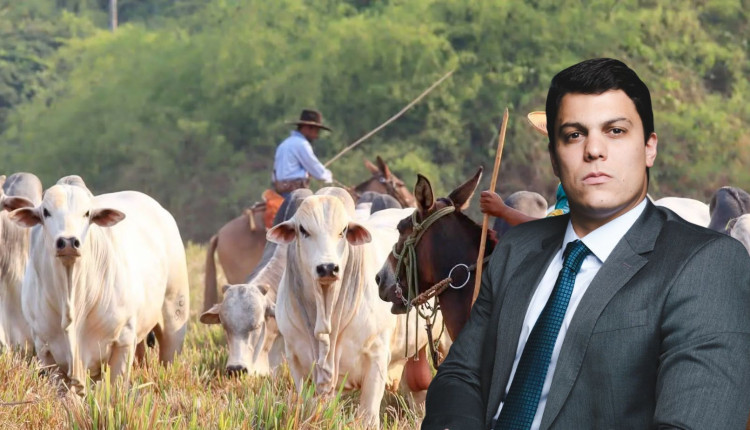 Justiça suspende cobranças do Banco do Brasil em ações de produtores rurais