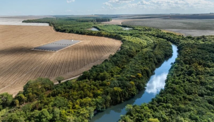 Desconhecimento da COP30: a maioria dos brasileiros não sabe o que é