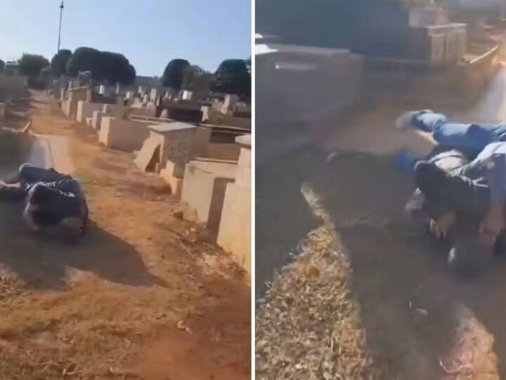 A briga inusitada entre advogado e jardineiro em cemitério