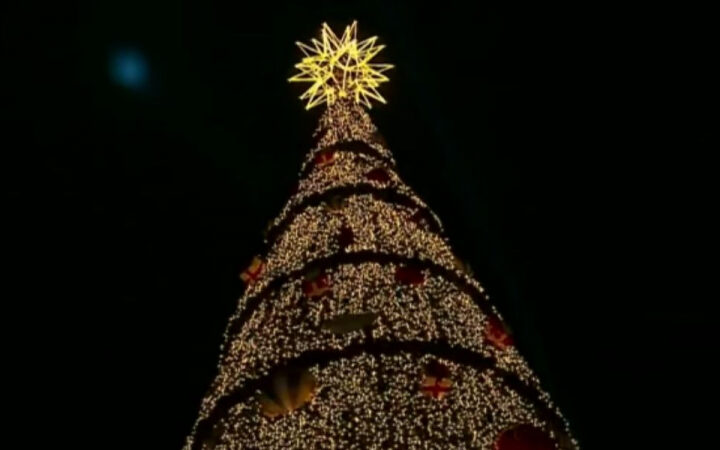 Inauguração da árvore de Natal do Parque Vila Lobos promete movimentar a economia de SP