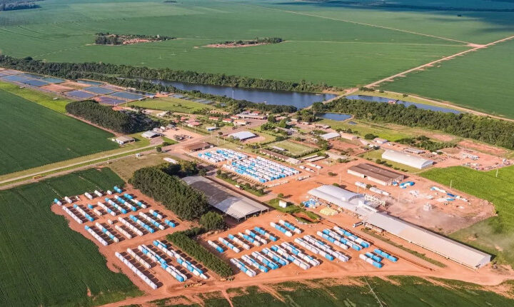 Fraude milionária expõe vulnerabilidades no agronegócio brasileiro