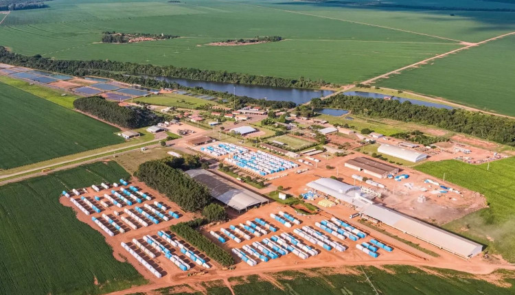 Fraude milionária expõe vulnerabilidades no agronegócio brasileiro