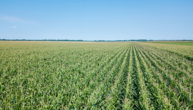 Uso de defensivos agrícolas no Brasil deve crescer 3,4% até 2025