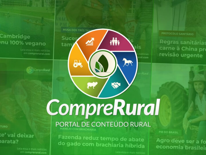 Preço do algodão em outubro atinge menor nível em 16 anos