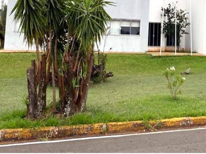 Concurso da Unespar 2025 oferece salários de até R$ 7,6 mil