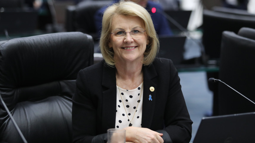 Assembleia do Paraná homenageia fisioterapeutas e terapeutas ocupacionais