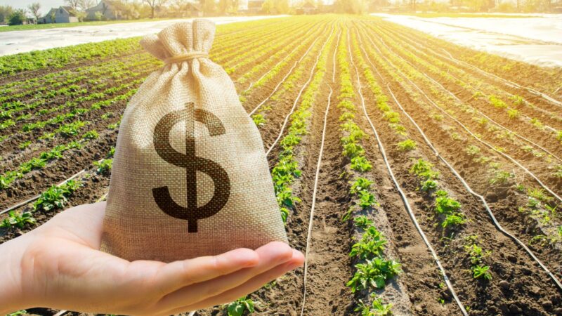 Consórcio no agronegócio: uma solução para produtividade em tempos de juros altos