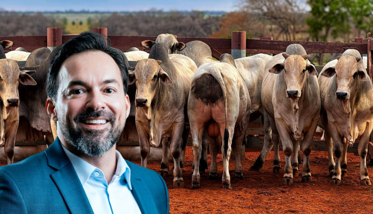 Produtor rural economiza R$ 2,7 milhões após Justiça barrar cobrança duplicada