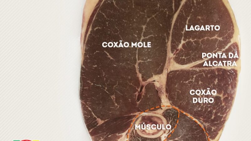 Capitão Steak: o corte que revolucionou o churrasco brasileiro