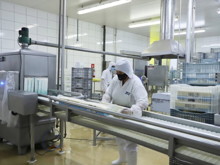 Taxa de desemprego no Paraná atinge 3,5%, menor índice para um terceiro trimestre