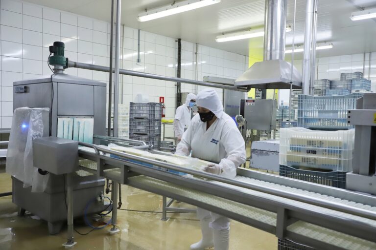 Taxa de desemprego no Paraná atinge 3,5%, menor índice para um terceiro trimestre