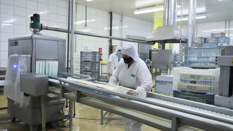 Taxa de desemprego no Paraná atinge 3,5%, menor índice para um terceiro trimestre