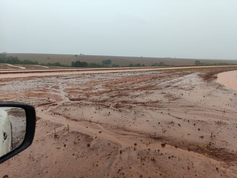 Solidariedade da FAEP aos agricultores paranaenses afetados pelas chuvas
