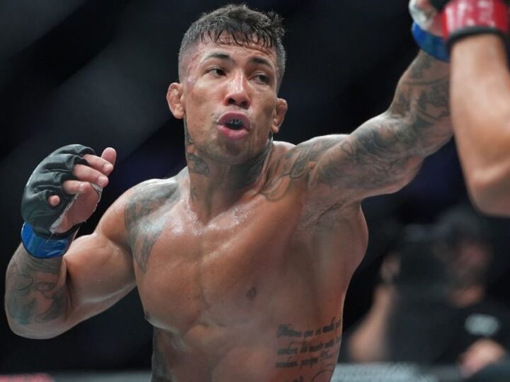 Resultados negativos para brasileiros no Noche UFC