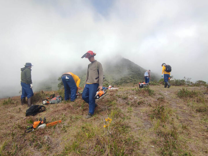 Voluntários realizam limpeza de 15 hectares no Parque Pico Paraná