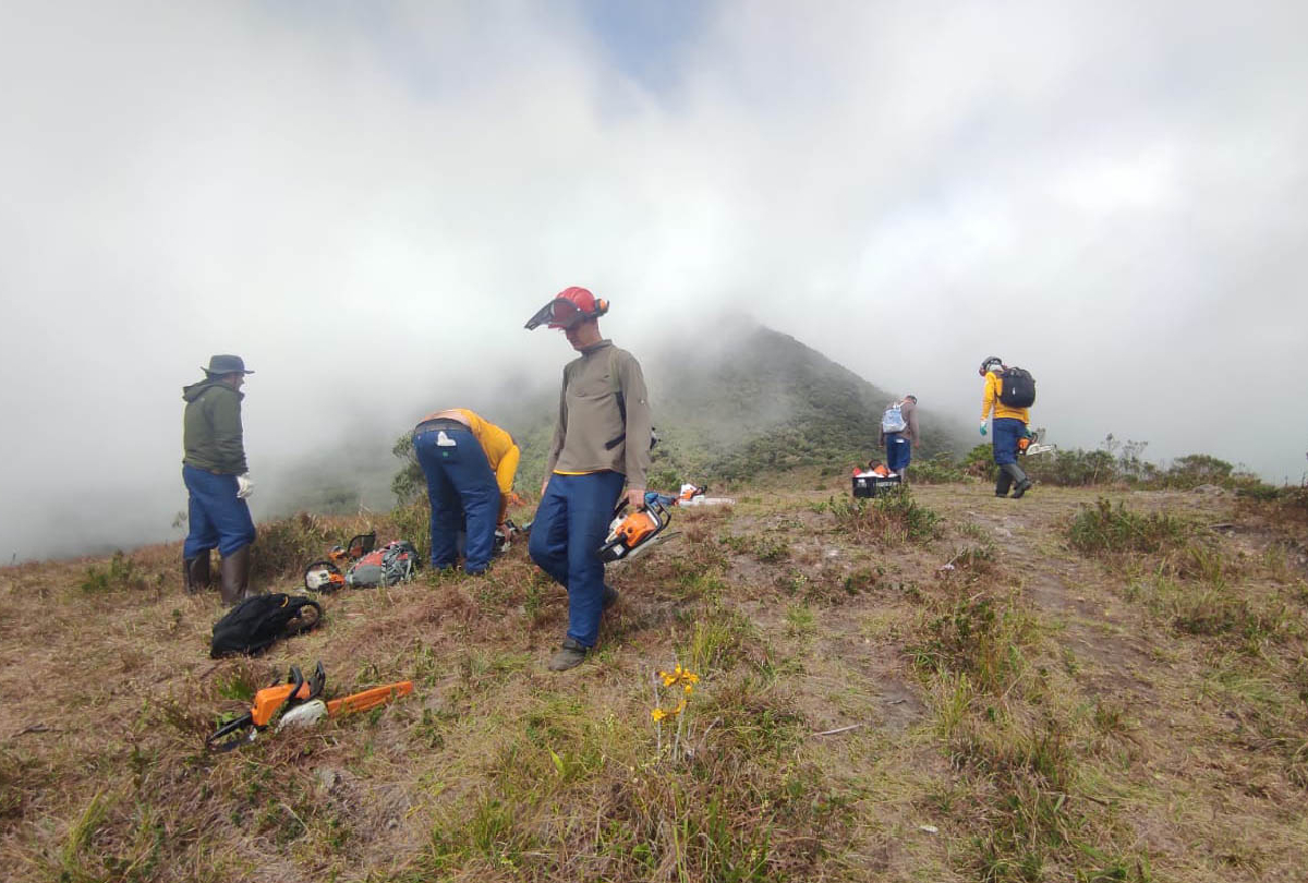 Voluntários realizam limpeza de 15 hectares no Parque Pico Paraná