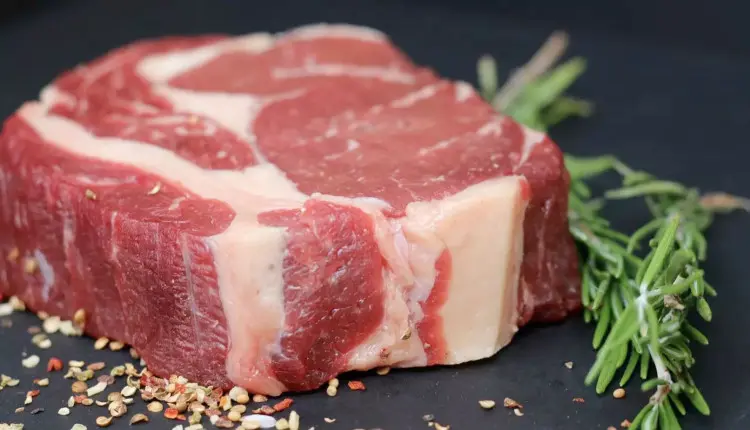 Exportações de carne bovina superam 320 mil toneladas em outubro