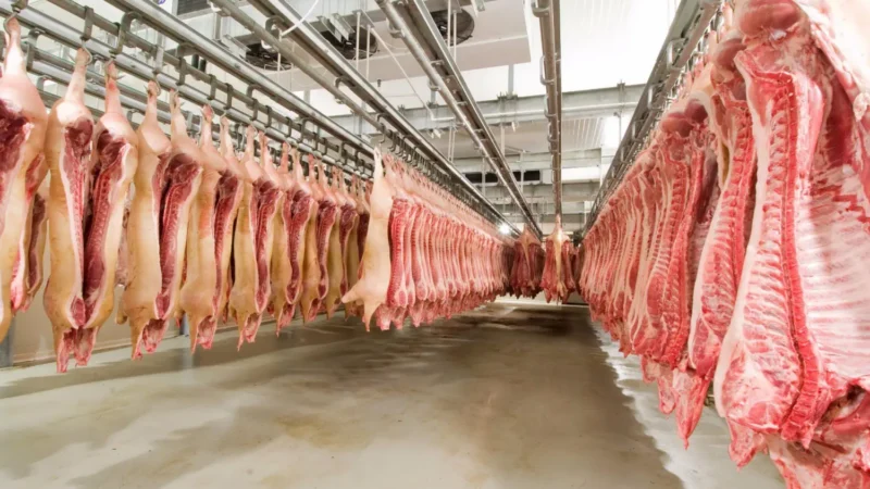 Crescimento da competitividade da carne suína em relação à bovina