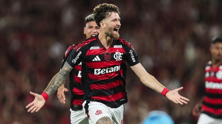 Flamengo se destaca e complica situação do Santos no Brasileiro