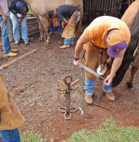 Nova Laranjeiras: Mais conhecimento, mais força para o produtor rural
