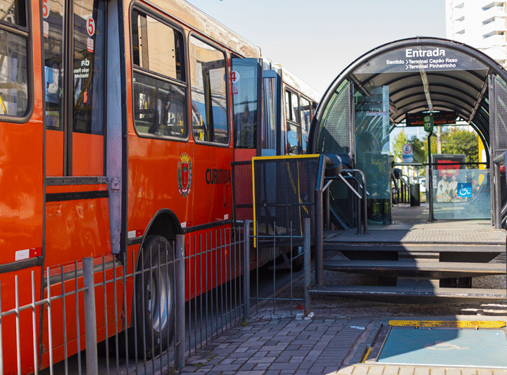Lei que autoriza transporte de pets em ônibus de Curitiba entra em vigor nesta sexta