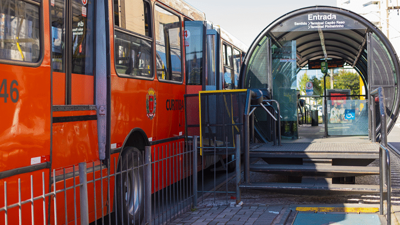 Lei que autoriza transporte de pets em ônibus de Curitiba entra em vigor nesta sexta