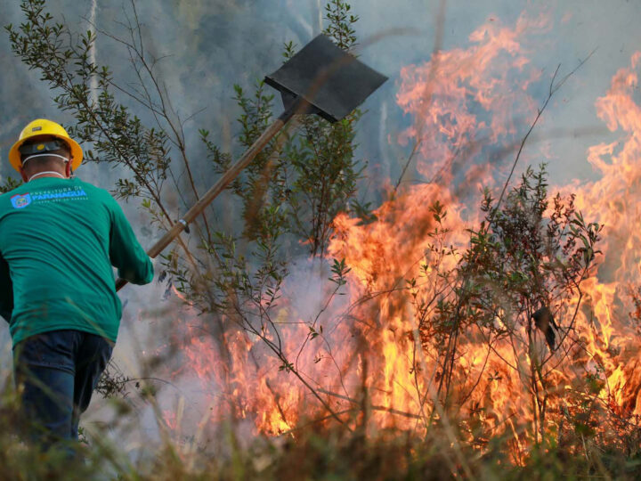 IAT Amplia Rede de Proteção Ambiental: 1.485 Novos Brigadistas Reforçam Defesa em Guarapuava e Região