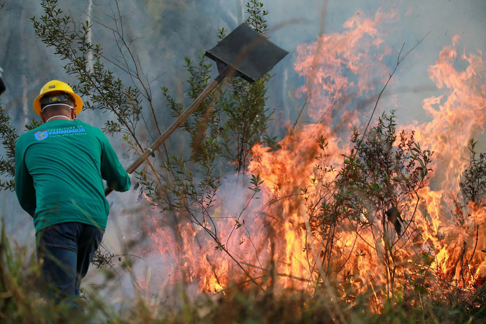 IAT Amplia Rede de Proteção Ambiental: 1.485 Novos Brigadistas Reforçam Defesa em Guarapuava e Região