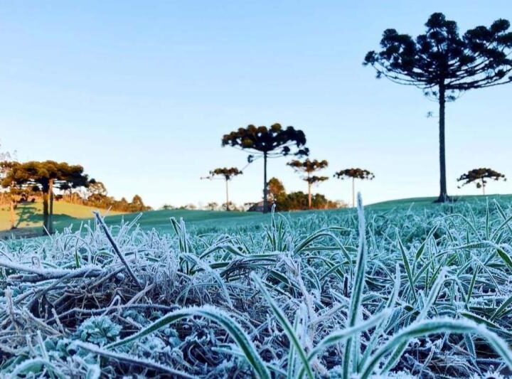 Paraná Lança Alerta Geada: IDR-Paraná e Simepar Unem Forças para Proteger a Agricultura