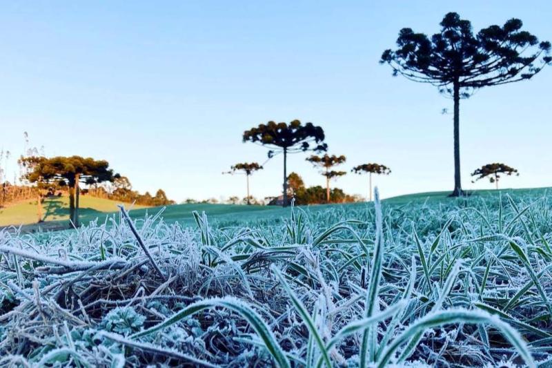Paraná Lança Alerta Geada: IDR-Paraná e Simepar Unem Forças para Proteger a Agricultura
