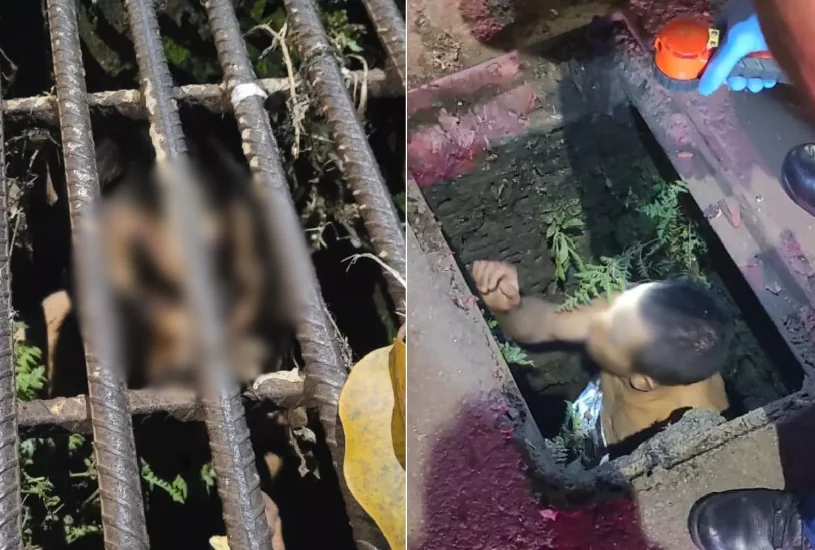 Homem é Resgatado de Bueiro em Chapecó Após Fuga Inusitada