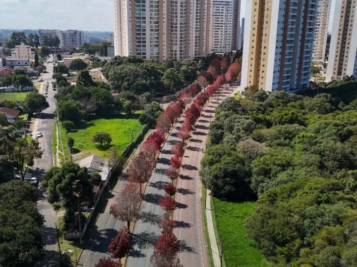 Onda de Frio se Despede: Paraná se Prepara para Dias de Sol e Calor Agradável