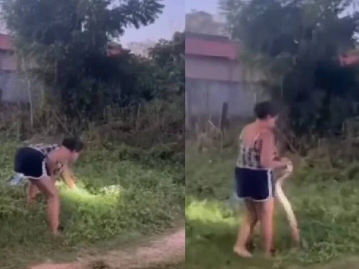 Maranhense viraliza ao resgatar jiboia com as próprias mãos: ‘Nunca tive medo’